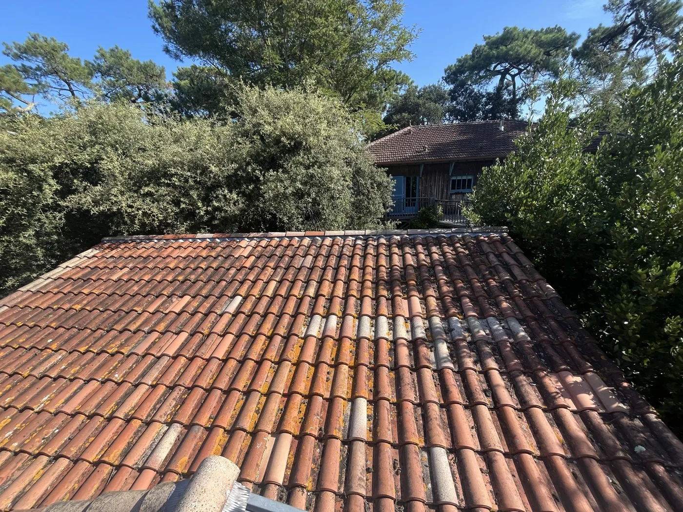 Toiture tuiles méridionales entretenue — Cap Ferret